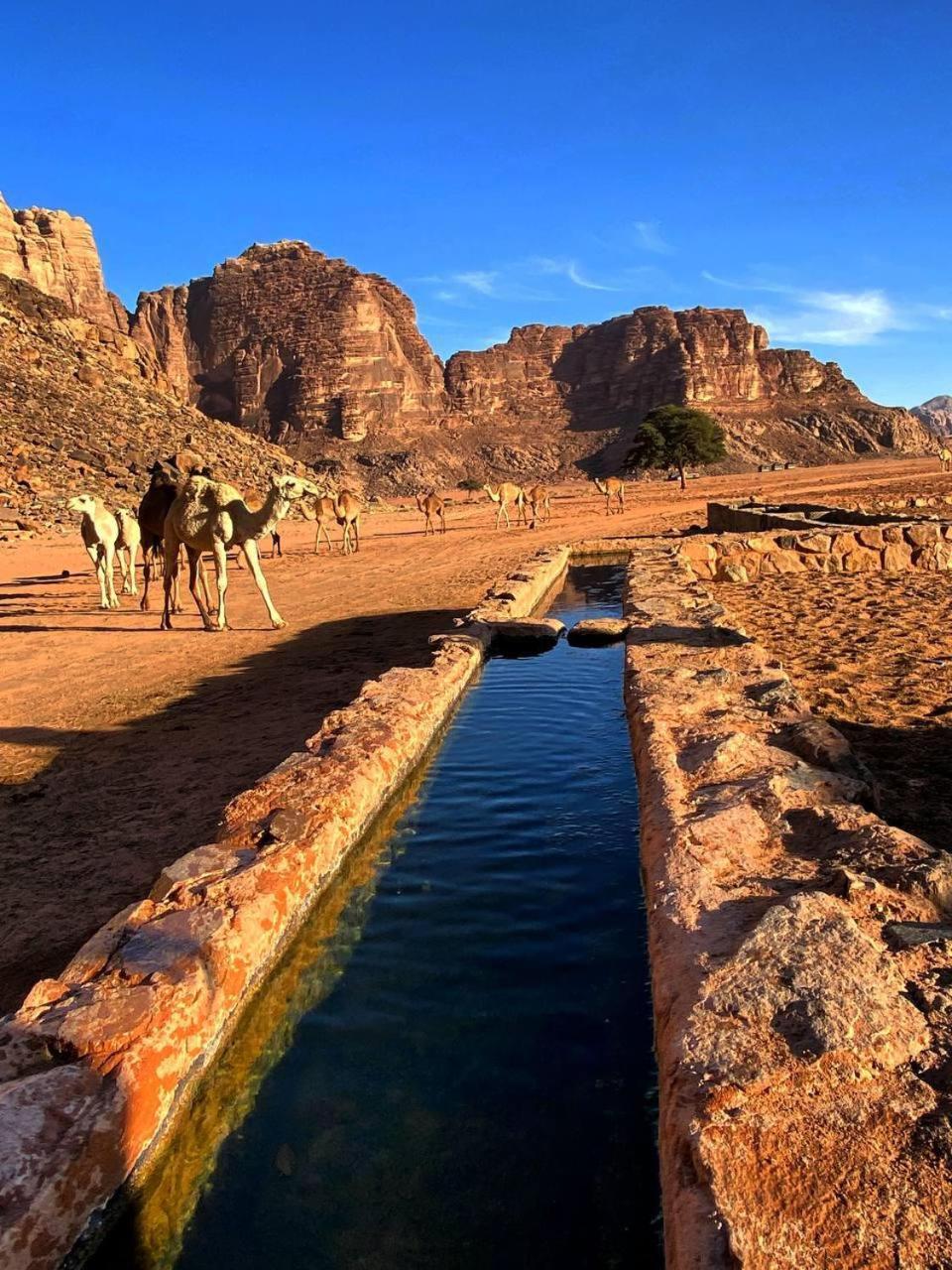 Wadi Rum Magic Nature Camp Exteriér fotografie